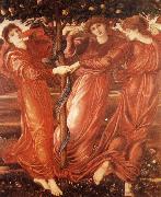 The Garden of the Hesperides Sir Edward Coley Burne-Jones